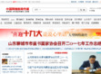 中国网络新闻传媒