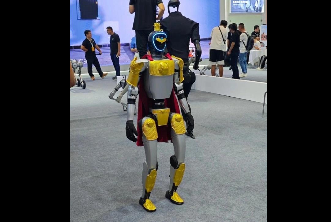 人形机器人成2024世界机器人大会焦点,量产时代加速到来