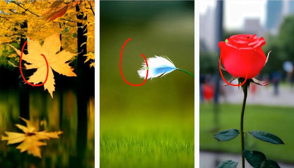 阿里发布AI视频生成框架Tora:画圈操控物体运动轨迹