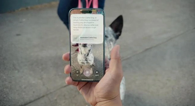 苹果与谷歌的搜索合作关系新转变!iPhone 16相机直接调用谷歌搜索